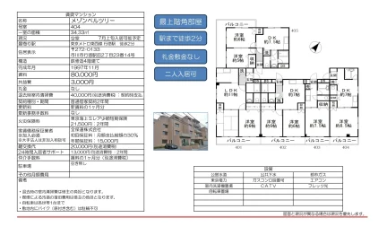 メゾンベルツリー 404号 0