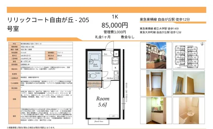 リリックコート自由が丘-205 205号 0