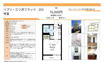 三ツ沢フラッツ 203号 0