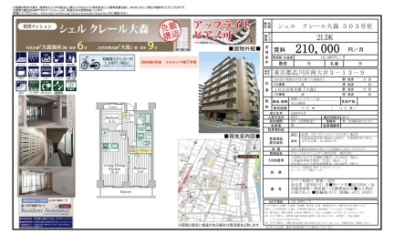 シェルクレール大森 303号 0