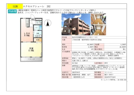 エクセルアシューレ 202号 0