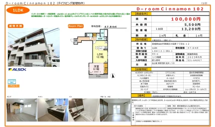 D-room Cinnamon 102 102号 0