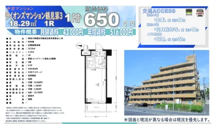 Classic Studio Condo in Higashiterao higashidai 0