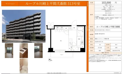 ルーブル川崎上平間弐番館 513号 0
