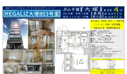 REGALIZ大塚803号室 803号 0