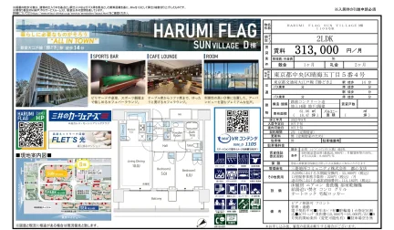 HARUMI FLAG SUN VILLAGE 1105号 0
