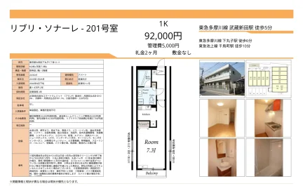 リブリソナーレ 201号 0