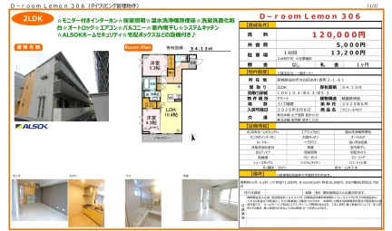 D-room Lemon 306 0