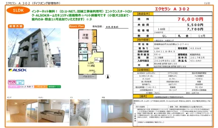 エクセラン A302 0