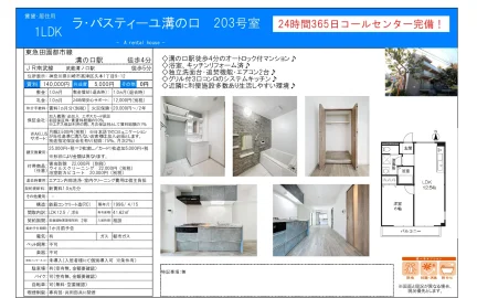 ラ・パスティーユ溝の口 203号 0