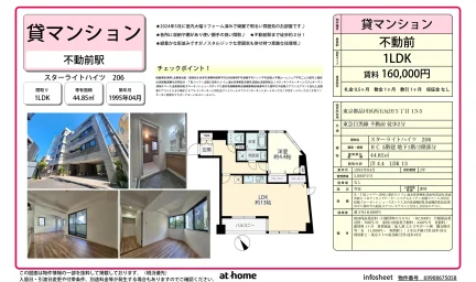 スターライトハイツ 206 0