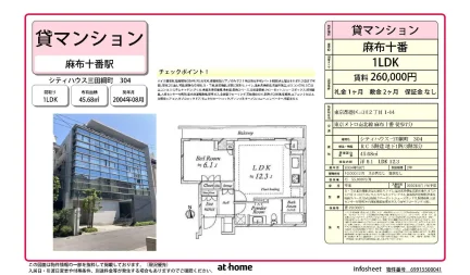 シティハウス三田綱町 304号 0