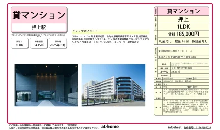 Brand New 1LDK Condo in Yokokawa 0