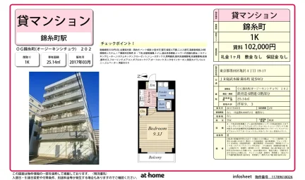 Modern Studio Condo in Kamezawa 0