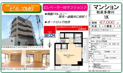 ビルズMB 3号 0