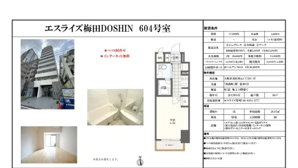 エスライズ梅田DOSHIN 604号 0