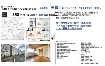 Classic 4-Bedroom Condo in Shinryodai 0