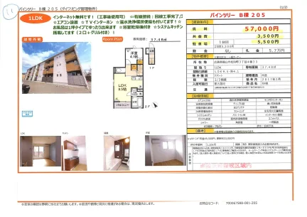 パインツリー B棟 205 205号 0