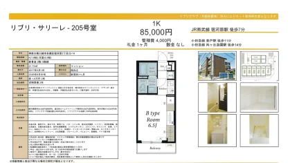 リブリ サリーレ 205号 0