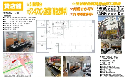 照カビル 5号 0
