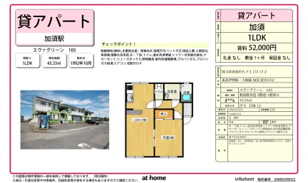 エヴァグリーン 105号 0