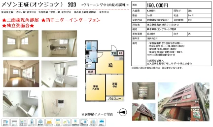 メゾン王城 203号 0