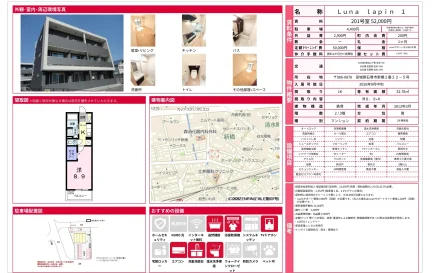 Luna lapin 201号 0
