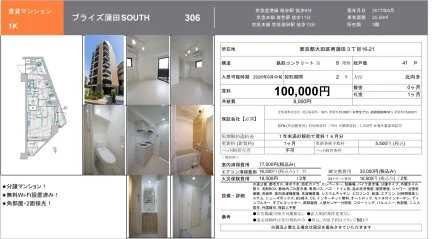 ブライズ蒲田SOUTH 306号 0