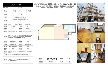 麻布イースト 5号 0
