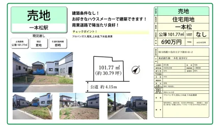 一本松 0