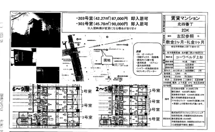 コーワベルデ上杉 203号室 0