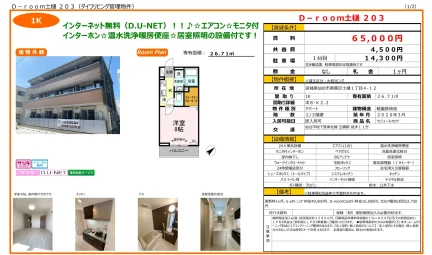 D-room 土樋 203 203号 0