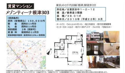 メゾンティーナ根津 303号 0