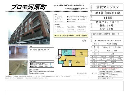 プロモ河原町 407号 0