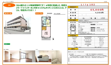 アバンウェル ディッツォ 102号 0