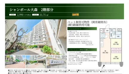 シャンボール大森 2号 0