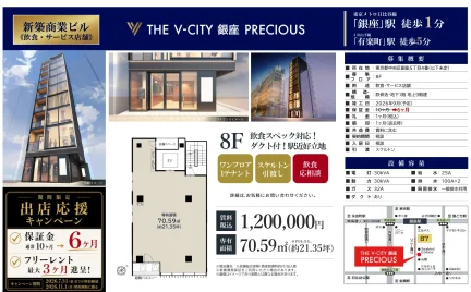 THE V-CITY 銀座 PRECIOUS 0