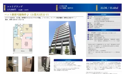 ココリグランデ 7号 0