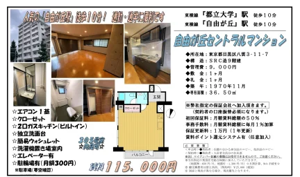 自由が丘セントラルマンション 305号 0