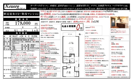 N.cuore 1号 0