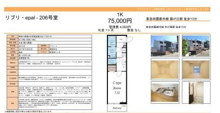 リブリepal 206号 0