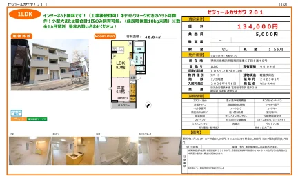 セジュールカサガワ 201号 0
