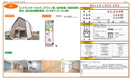 BELLA LUCE 205 205号 0
