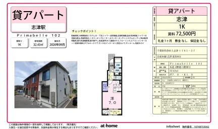 Primabelle 102号 0