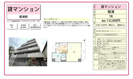 ドゥーエ上野池之端(ドゥーエウエノイケノハタ) 307号 0