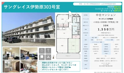 サングレイス伊勢原 303号 0