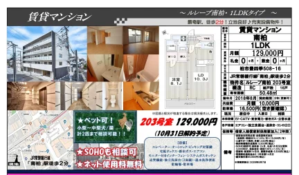 ルレーブ南柏 203号 0
