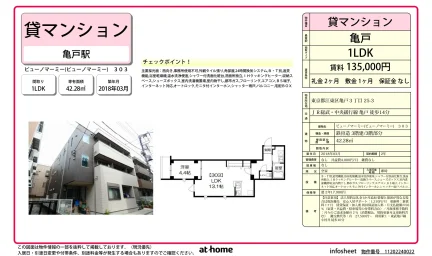 Modern 1LDK Condo in Kameido 0