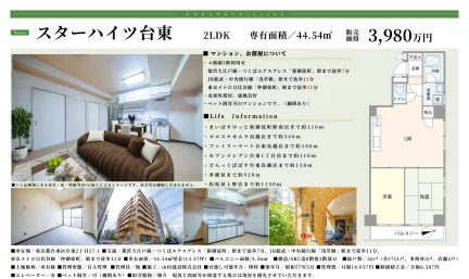 スターハイツ台東 3号 0