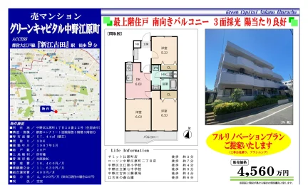 グリーンキャピタル中野江原町 3-3号 0